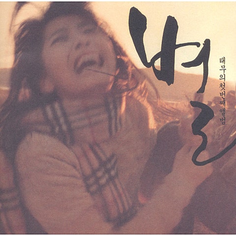 태무 하늘이 되어 자켓