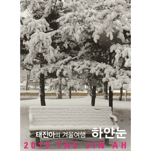 태진아 하얀 눈(Feat.김동규) 자켓