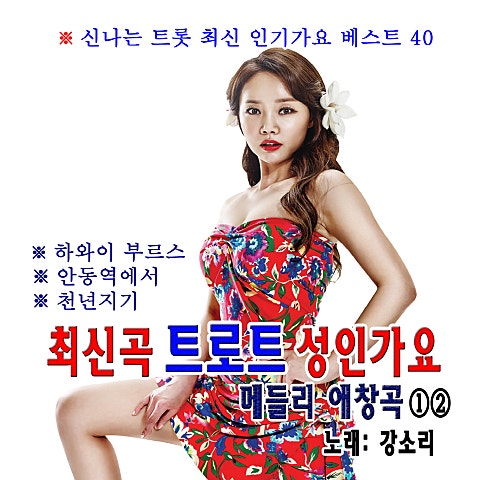 강소리 하와이 부르스 자켓