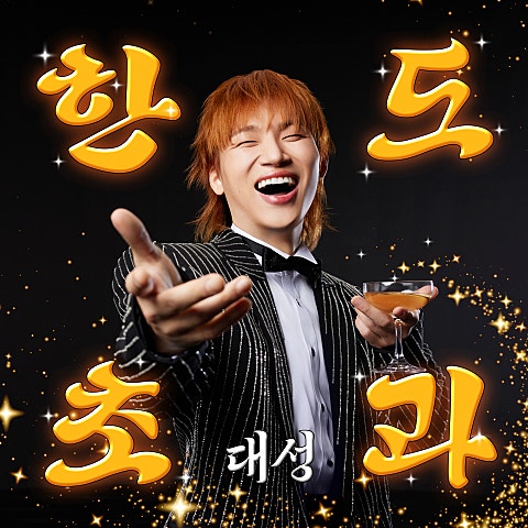 대성 한도 초과 자켓