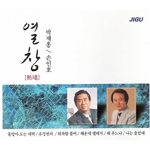 손인호 해운대 엘레지 (Disco Ver.) 자켓