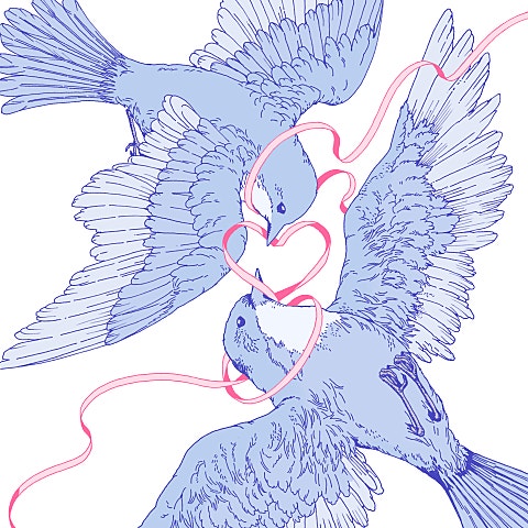 비비 행복에게 자켓