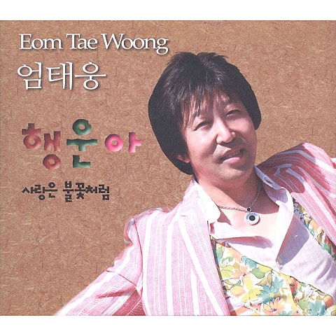 엄태웅 행운아 자켓