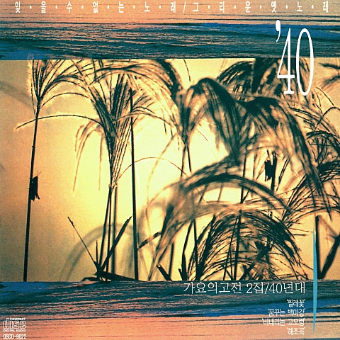 백난아 황하다방 자켓