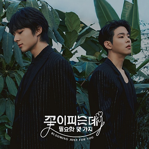 NuNew,폴킴 꽃이 피는 데 필요한 몇 가지 자켓