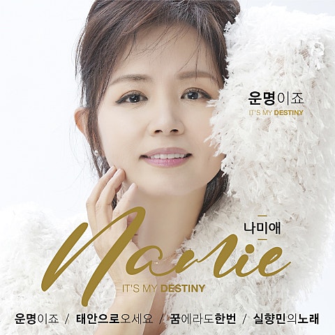 나미애 꿈에라도 한번 자켓