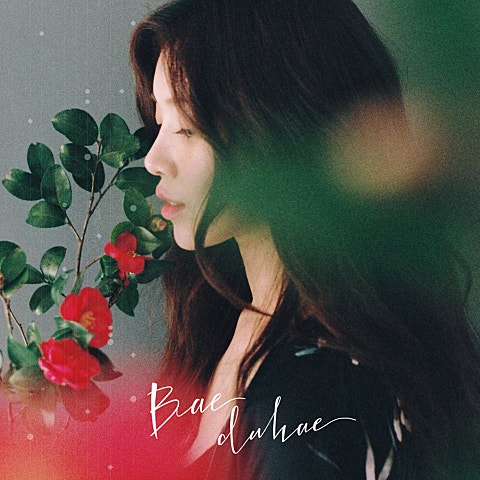 배다해 똑똑똑 자켓