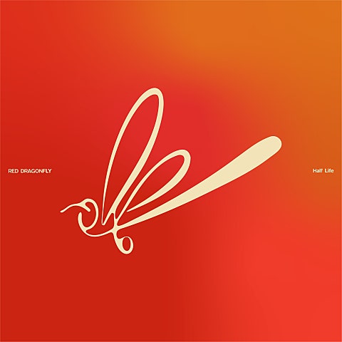 고추잠자리 씨앗 자켓