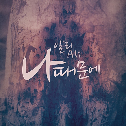 알리 나 때문에 앨범 자켓