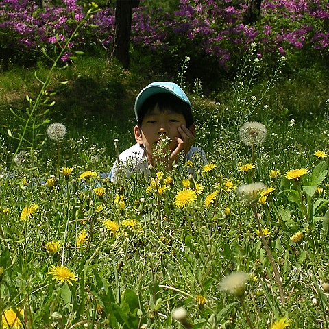 구만(9.10000) 나 혼자 남은 지구 앨범 자켓