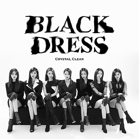 CLC BLACK DRESS 자켓
