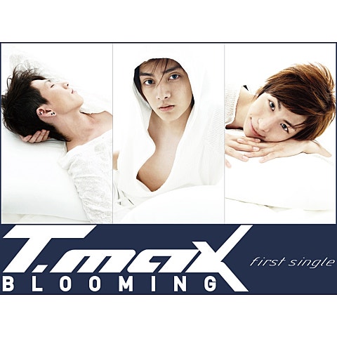 티맥스 Blooming 자켓