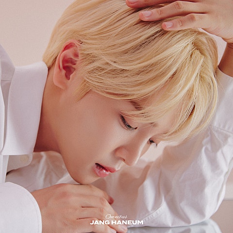 장한음 CARTOON 자켓