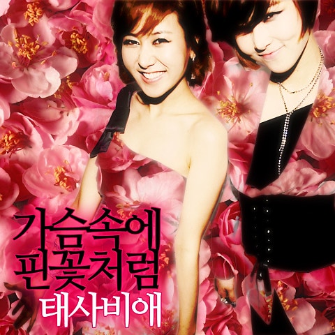 태사비애 가슴속에 핀 꽃처럼 (Rap.Mr.Gordo,전세...) 자켓