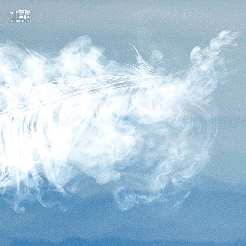 새소년 나는 새롭게 떠오른 외로움을 봐요 자켓