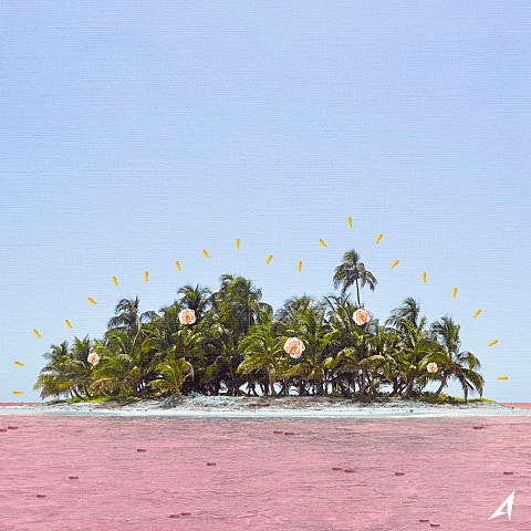 Anonymous Artists Comfort Zone (Art. BiNTAGE(빈티지)) 자켓