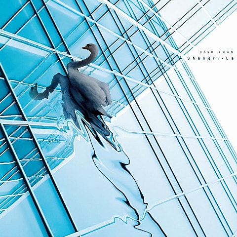 Hash Swan Daily Look (Feat.Silly Boot) 자켓