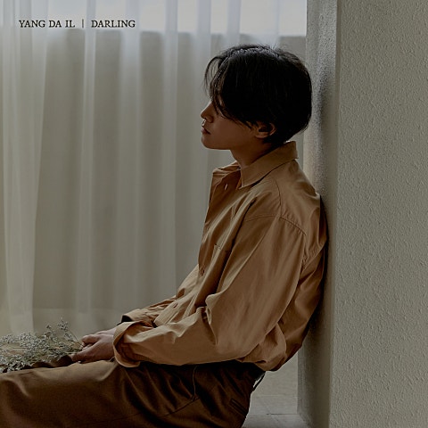 양다일 Darling 자켓