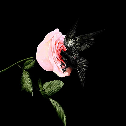 Paul Blanco Do 자켓