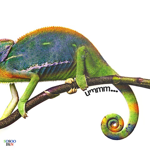 소수빈 나도 날 잘 (umm) 자켓