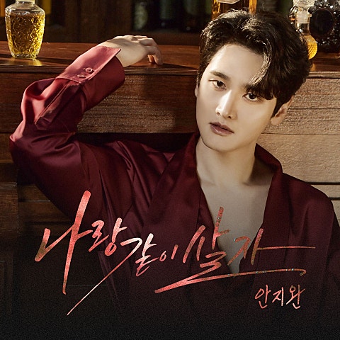 안지완 나랑 같이 살자 자켓