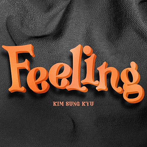 김성규(인피니트) Feeling 자켓