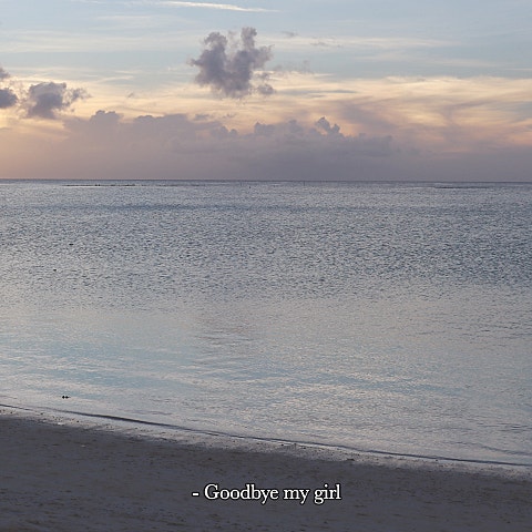 몽니 Goodbye my girl 자켓