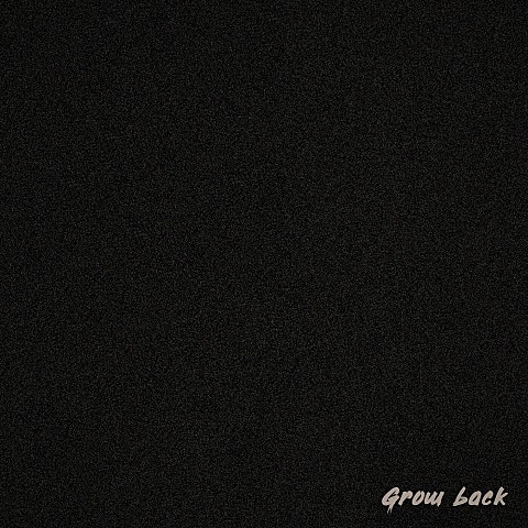 조광일 Grow back (Feat.브라운티거) 자켓
