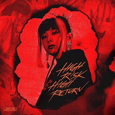 SINCE HIGH RISK HIGH RETURN (Feat.Polodared) 자켓