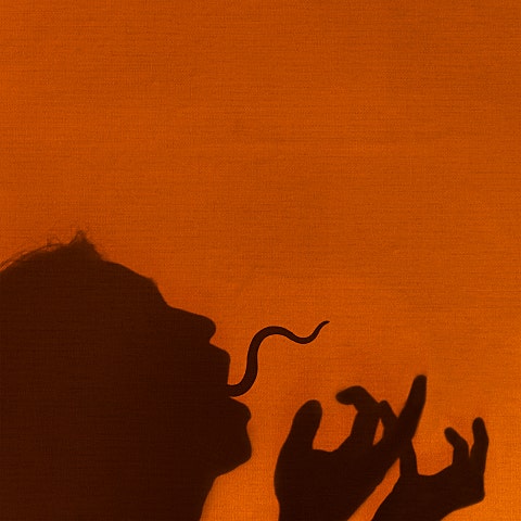 원슈타인 나무 자켓