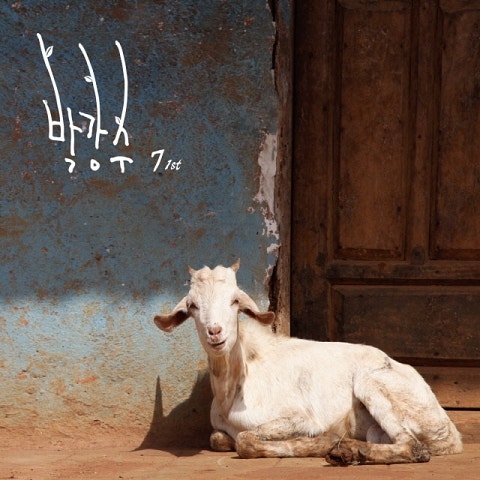 나무가 되고 싶다