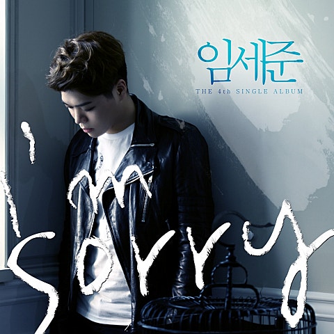 임세준 I'm Sorry 자켓