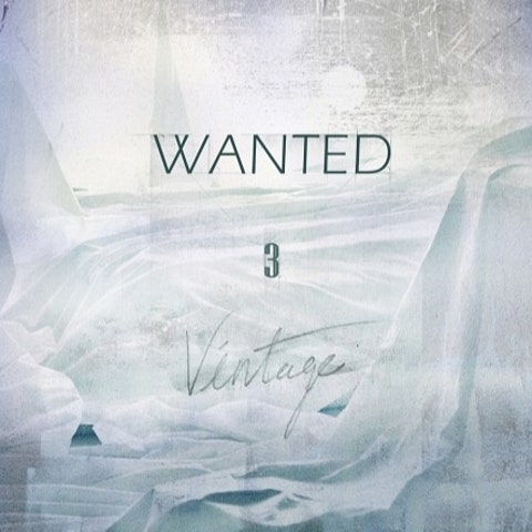 원티드 Like You(Feat.아이유) 자켓