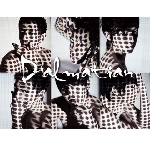 달마시안 Lover Cop 자켓