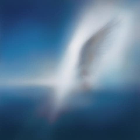 카더가든 LOVERS 자켓