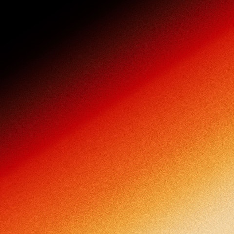 LEON(딥상어) MAGNOLIA. 자켓