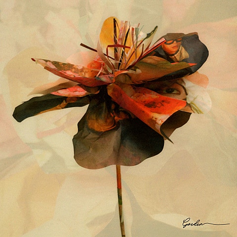 페노메코 No.5 (Feat.Crush) 자켓