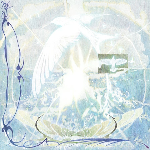 송소희 Not a Dream 자켓