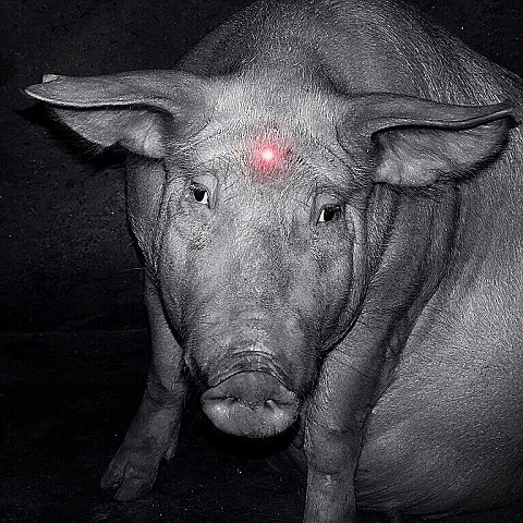 스윙스 Rap Star 자켓