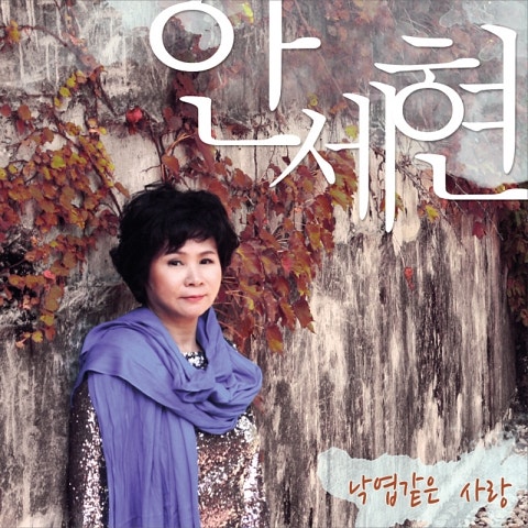 안세현 낙엽같은 사랑 자켓