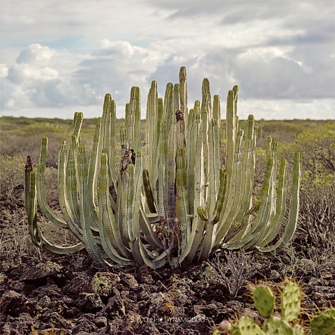 SOON (Feat.비와이)