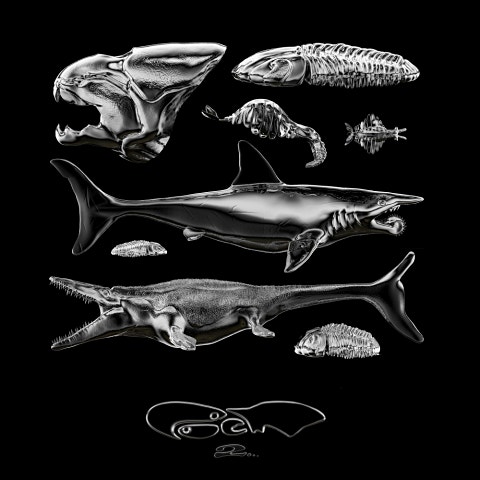 오왼 what the fun (sunny) 자켓