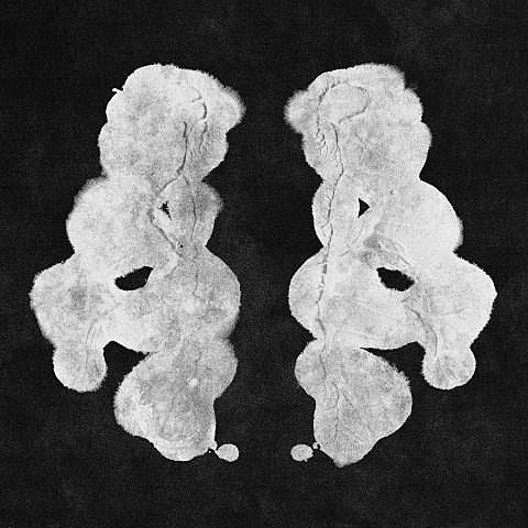 페노메코 X 자켓