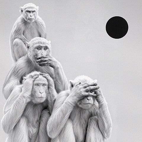 Zico,Crush Yin and Yang(FANXY CHILD Ver.)(Feat.DEA.. 자켓