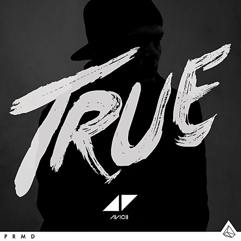 Avicii Addicted To You 자켓