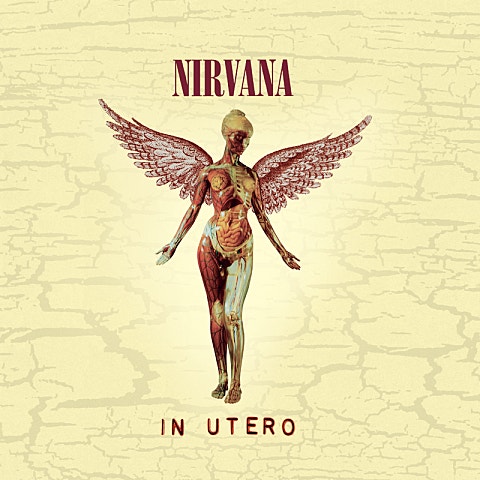 Nirvana All Apologies 앨범 자켓