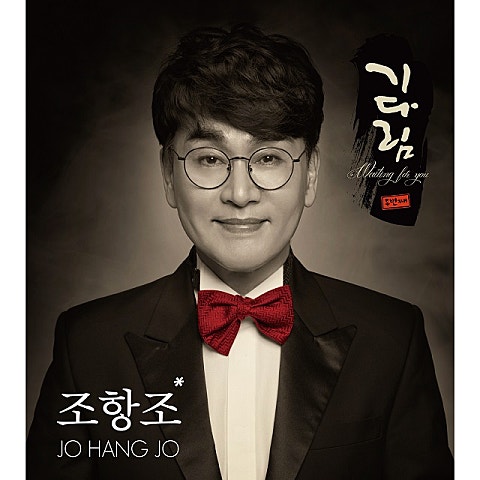 조항조 남이다 자켓