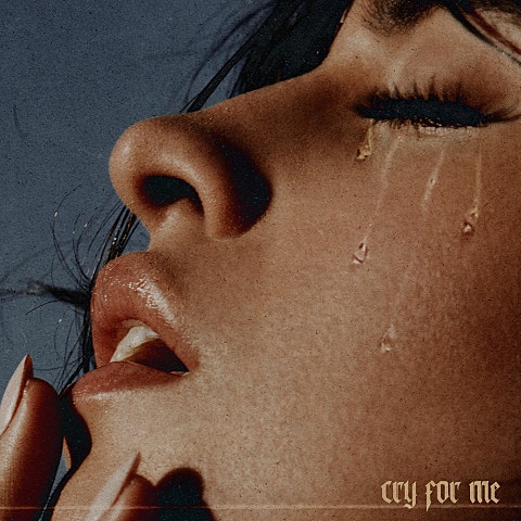 Camila Cabello Cry for Me 자켓