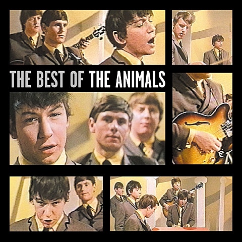 The Animals Don't Bring Me Down 앨범 자켓