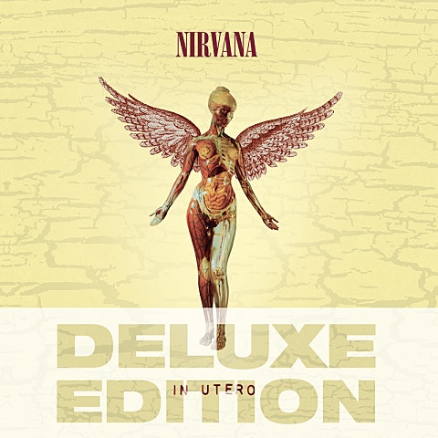 Nirvana Heart-Shaped Box 자켓